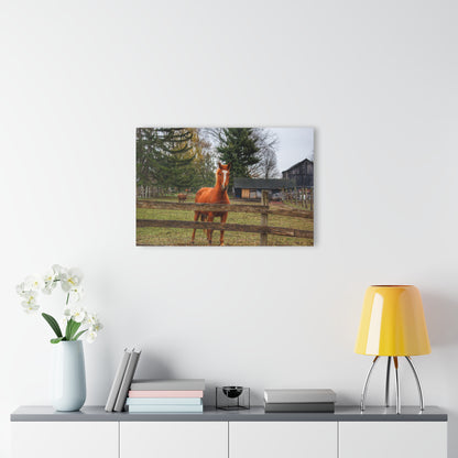 U R There Photography South Summers Road Old Grey and Caramel I Rustic Farmhouse Acrylic Wall Print