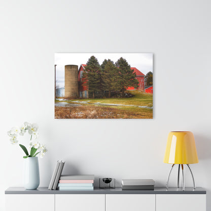 U R There Photography Laur Road Red Among the Pines III Rustic Farmhouse Acrylic Wall Print