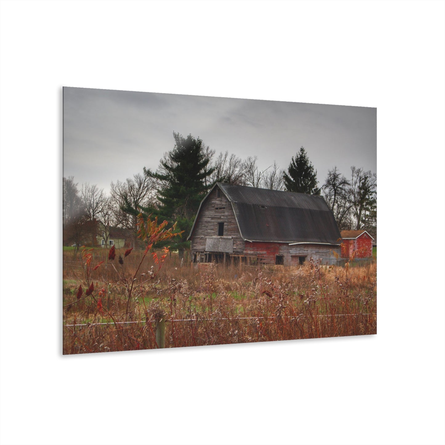 U R There Photography Field Grey and Little Red Rustic Farmhouse Acrylic Wall Print