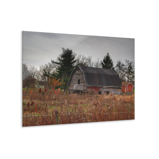 U R There Photography Field Grey and Little Red Rustic Farmhouse Acrylic Wall Print