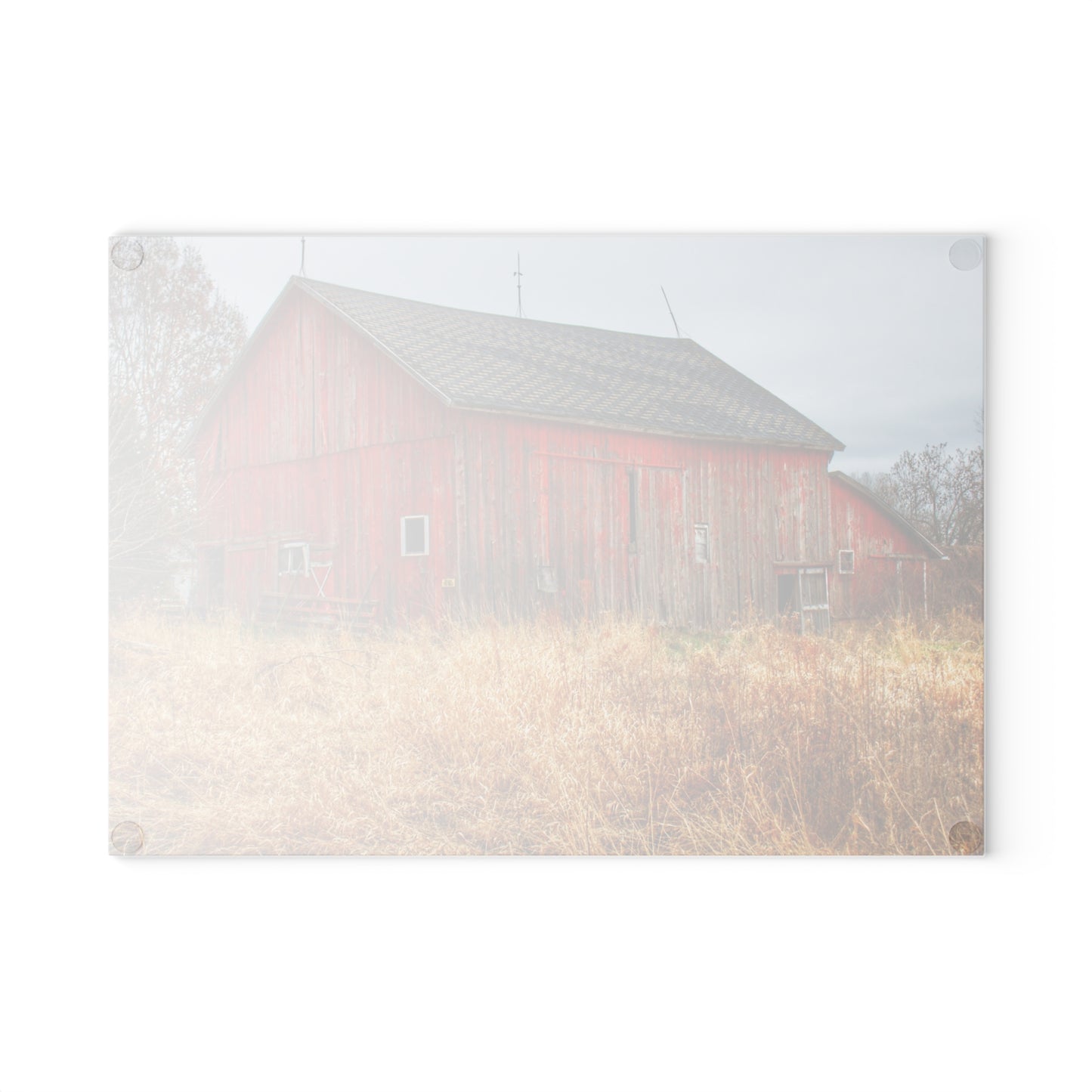 U R There Photography Harrington Road Red Rustic Farmhouse Tempered-Glass Cutting Board