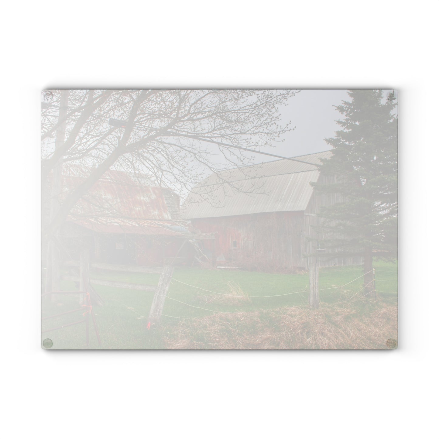 U R There Photography Dodge Road Forgotten Greys Rustic Farmhouse Tempered-Glass Cutting Board