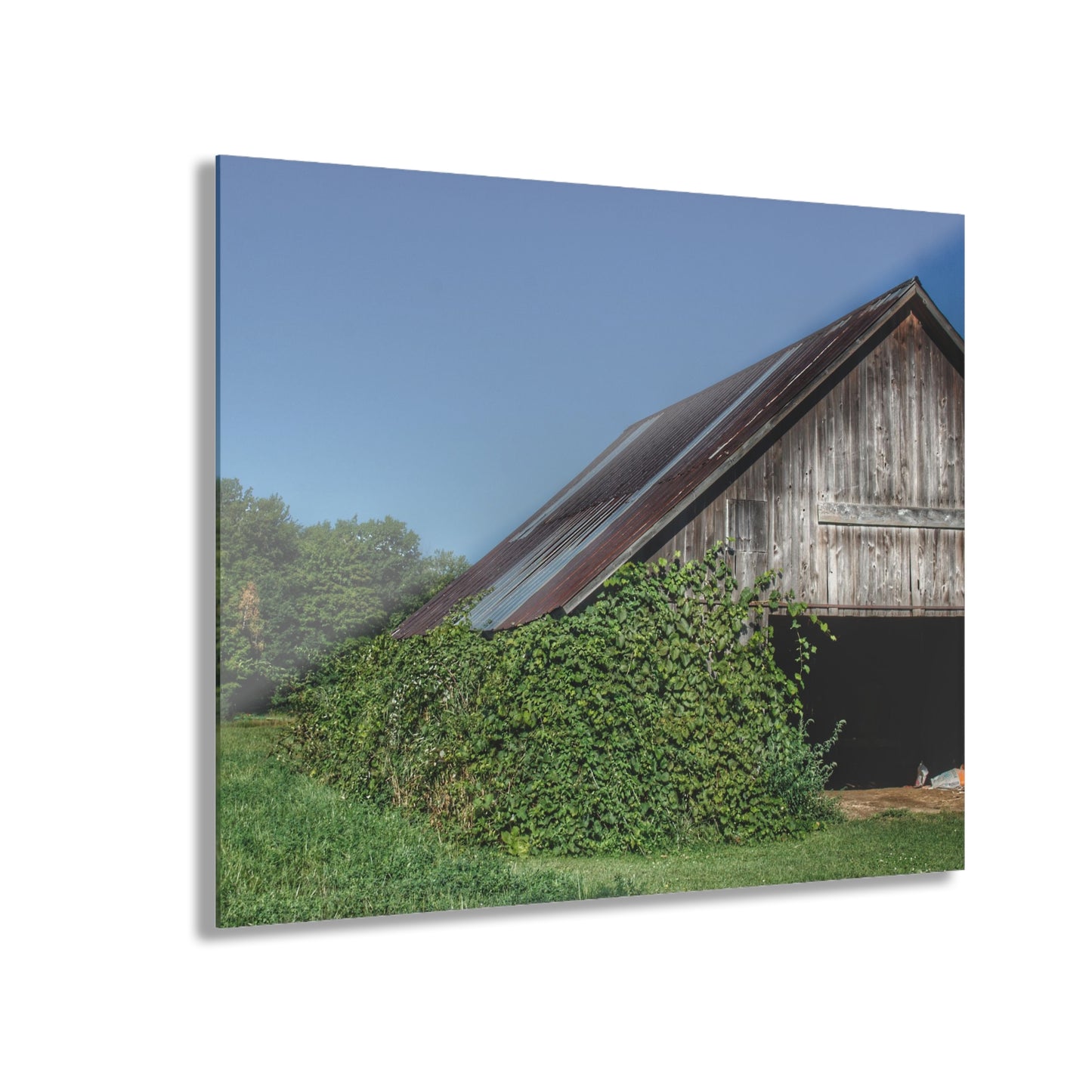U R There Photography Grey Shack of Millington Rustic Farmhouse Acrylic Wall Print