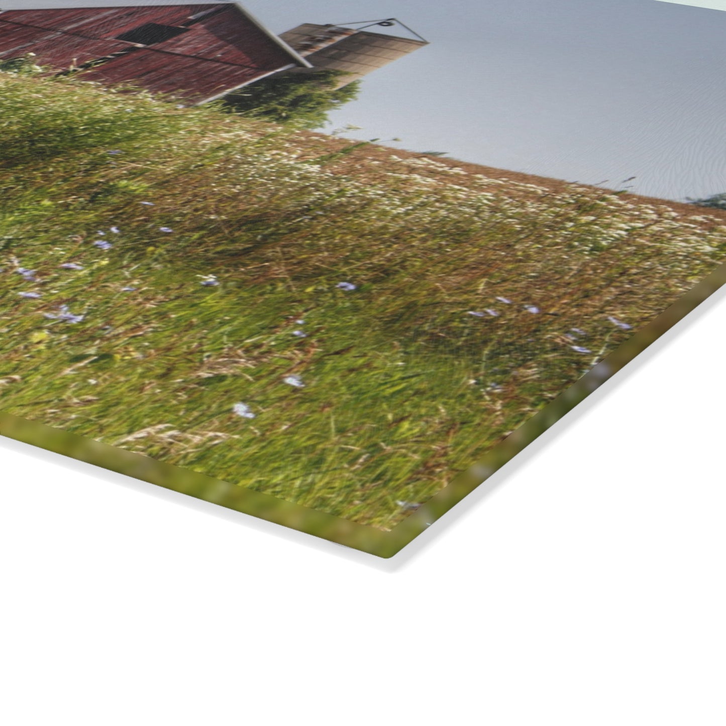 U R There Photography North Lake Pleasant Little Red Rustic Farmhouse Tempered-Glass Cutting Board