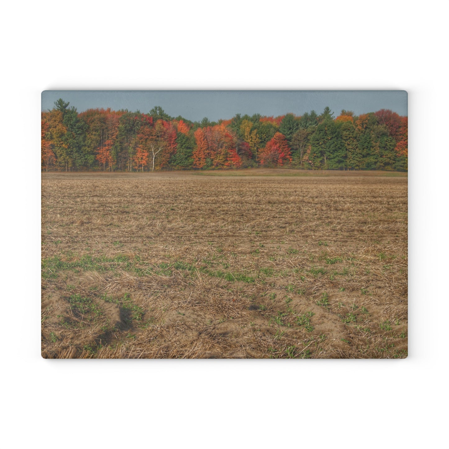 U R There Photography Fall on Murphy Lake III Rustic Farmhouse Tempered-Glass Cutting Board