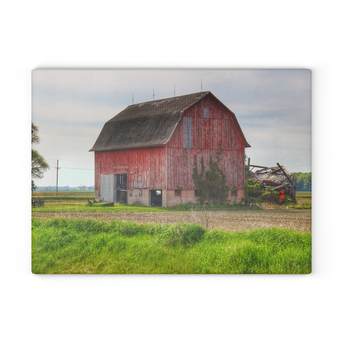 U R There Photography Unionville Elmwood Road Red II Rustic Farmhouse Tempered-Glass Cutting Board