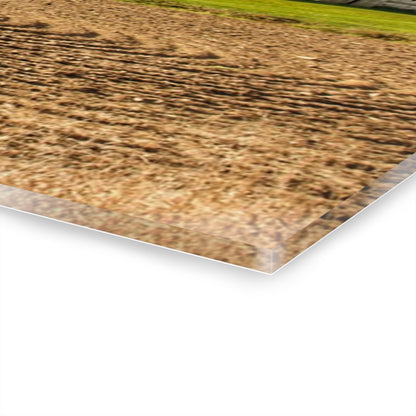 U R There Photography Newark Road Whites Rustic Farmhouse Acrylic Wall Print