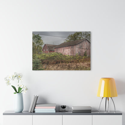 U R There Photography Washburn Reds Rustic Farmhouse Acrylic Wall Print