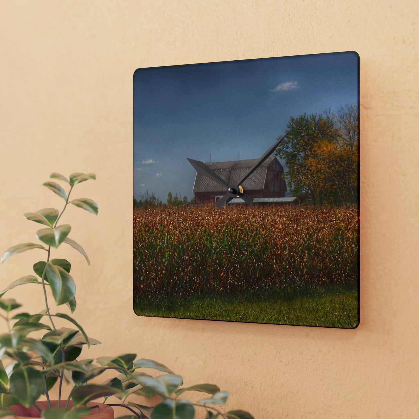 U R There Photography Clifford Road Red III Rustic Farmhouse Acrylic Analog Wall Clock