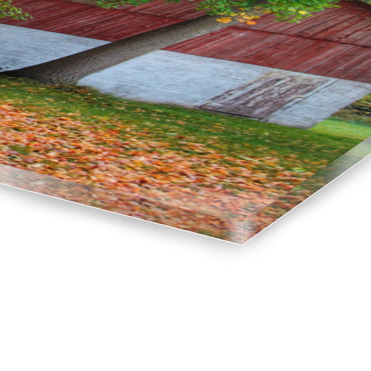 U R There Photography M-25 Red Rustic Farmhouse Acrylic Wall Print