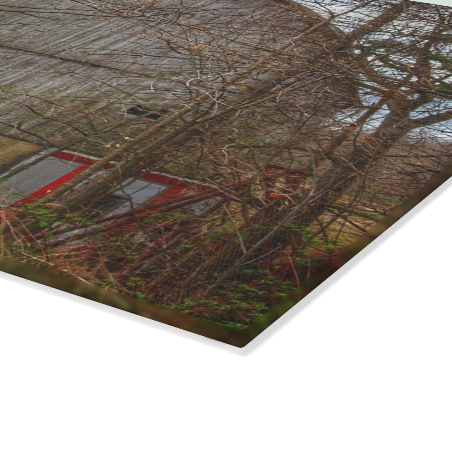 U R There Photography West Murphy Lake Road Grey Rustic Farmhouse Tempered-Glass Cutting Board