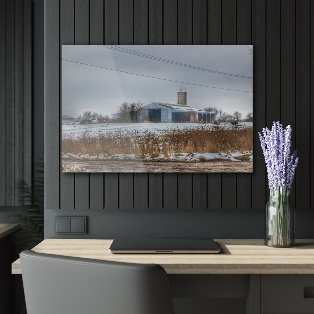 Noble Road Blue Cow Barn | Wall Prints 36" x 24" (Horizontal) 0.25''