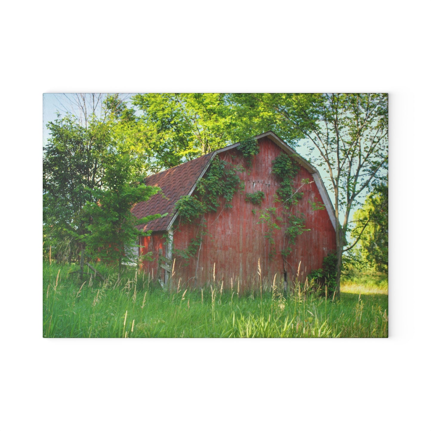 U R There Photography Murphy Lake Road Old Red Rustic Farmhouse Tempered-Glass Cutting Board
