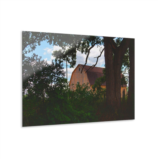 U R There Photography Bristol Gold Hidden Rustic Farmhouse Acrylic Wall Print