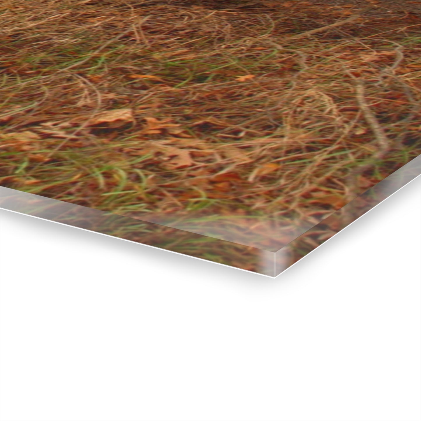 U R There Photography North Oxford Road Grey II Rustic Farmhouse Acrylic Wall Print