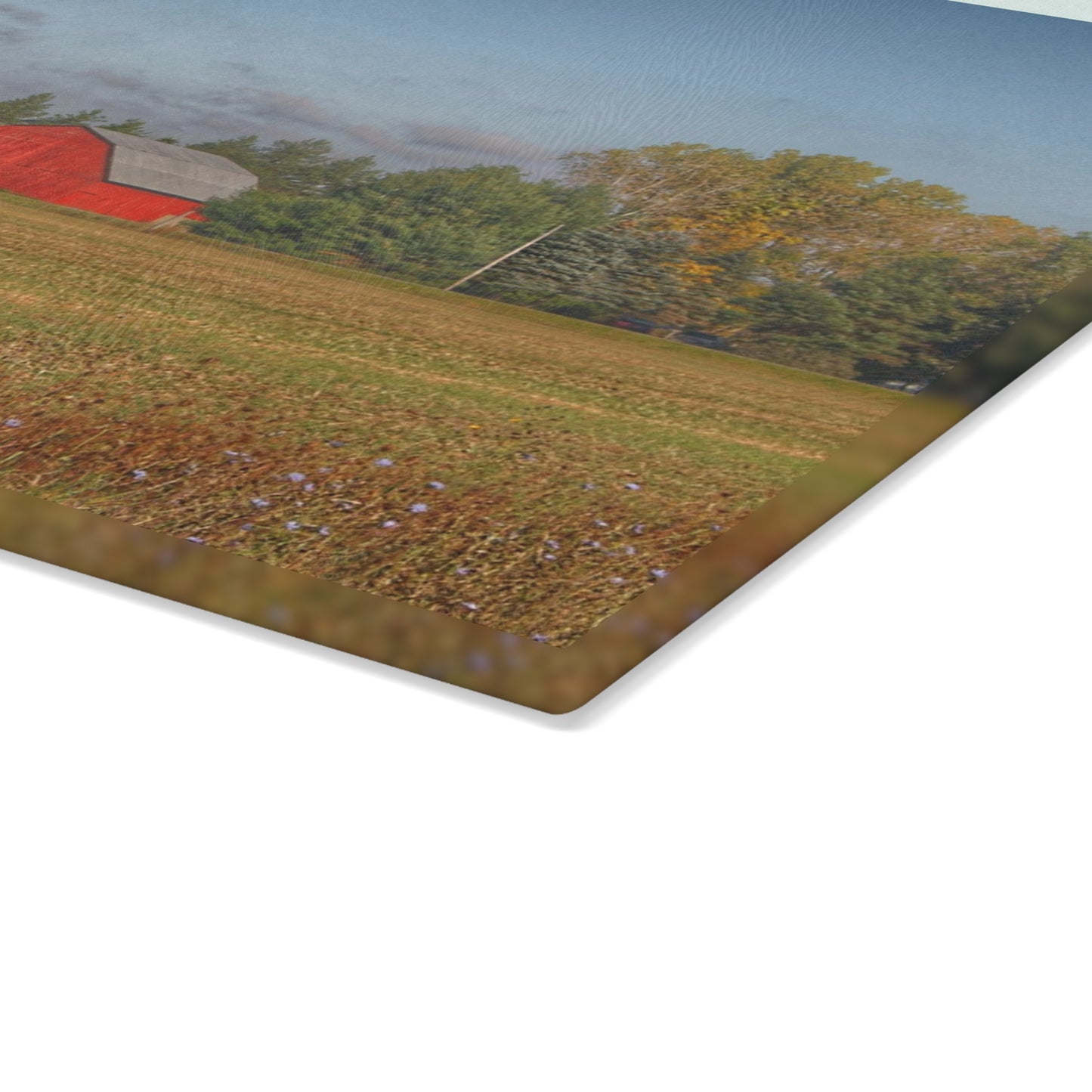 U R There Photography Fargo Road Little Red Rustic Farmhouse Tempered-Glass Cutting Board