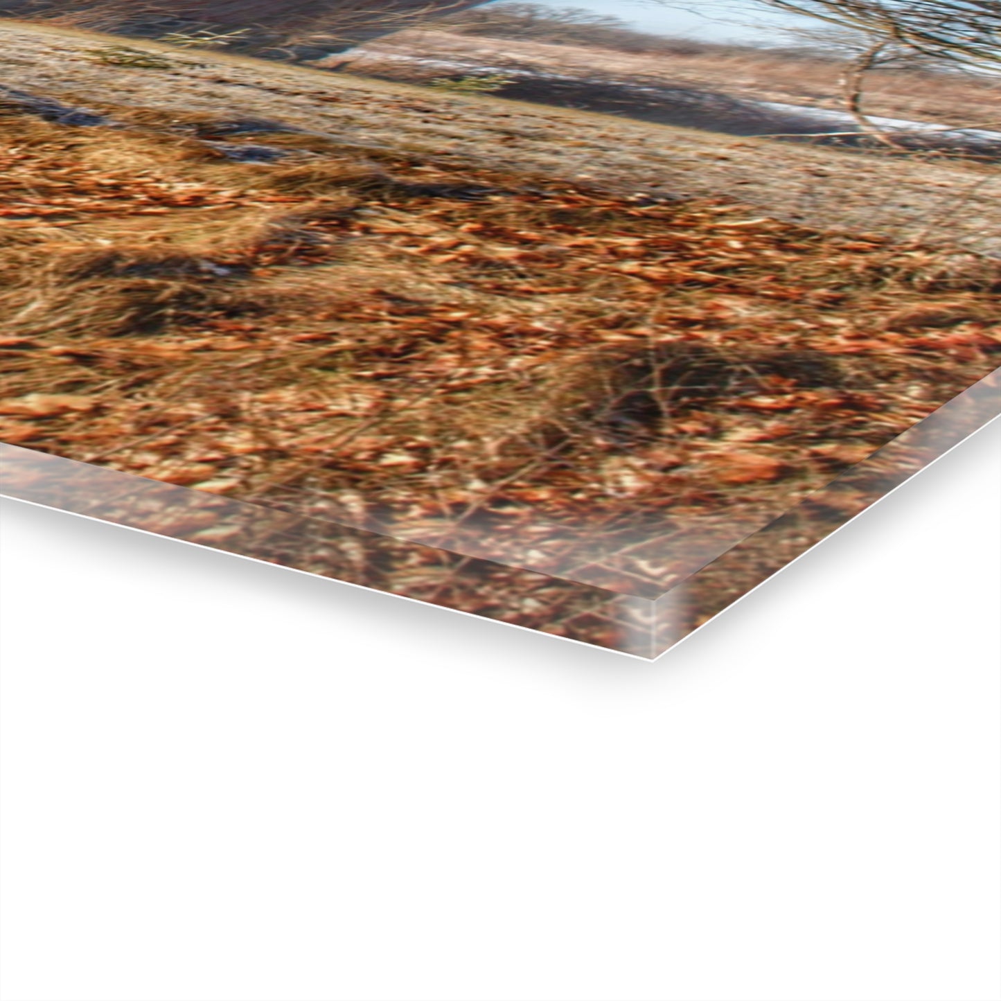 U R There Photography M-24 Barn at the Bend I Rustic Farmhouse Acrylic Wall Print