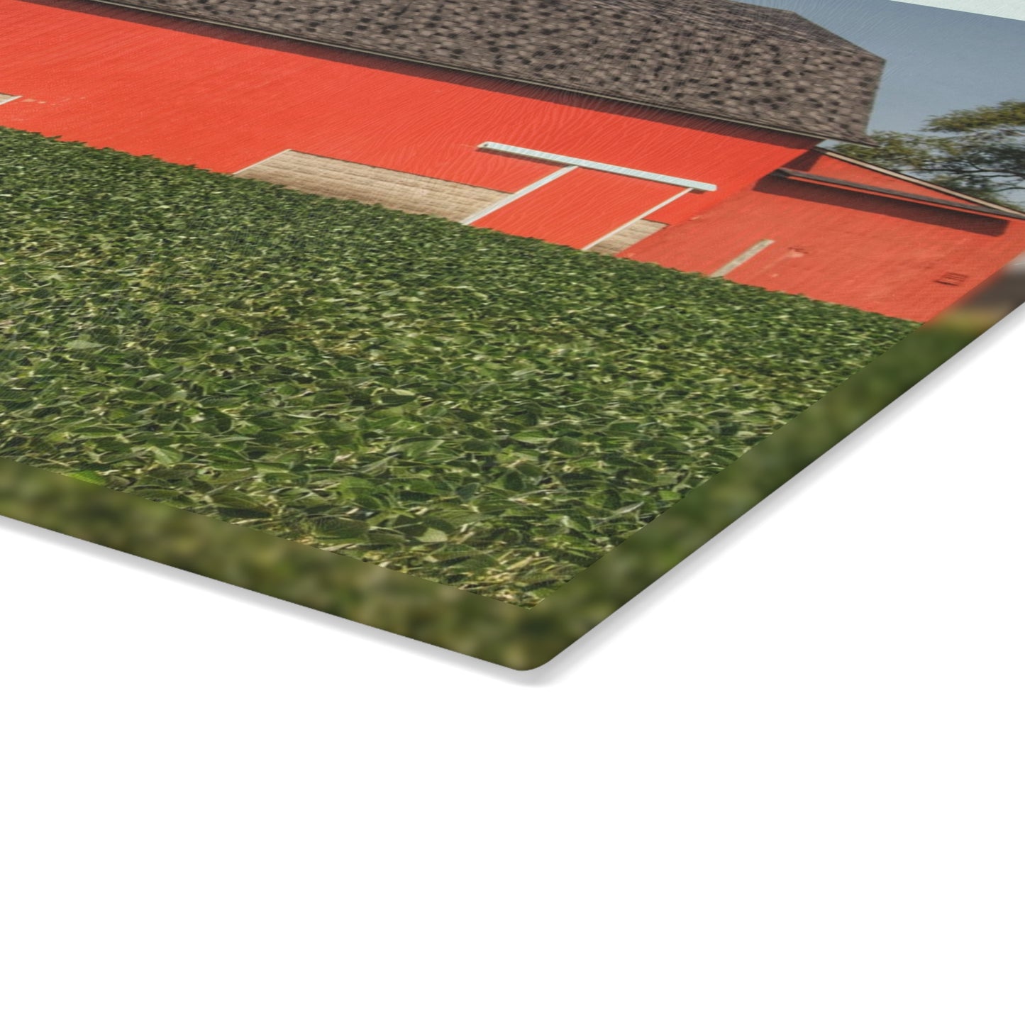 U R There Photography Elba Red I Rustic Farmhouse Tempered-Glass Cutting Board