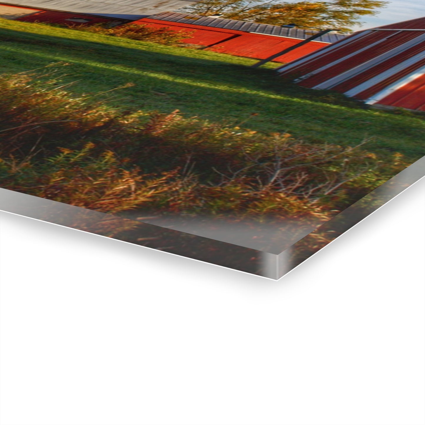 U R There Photography Maynard Road Reds Rustic Farmhouse Acrylic Wall Print