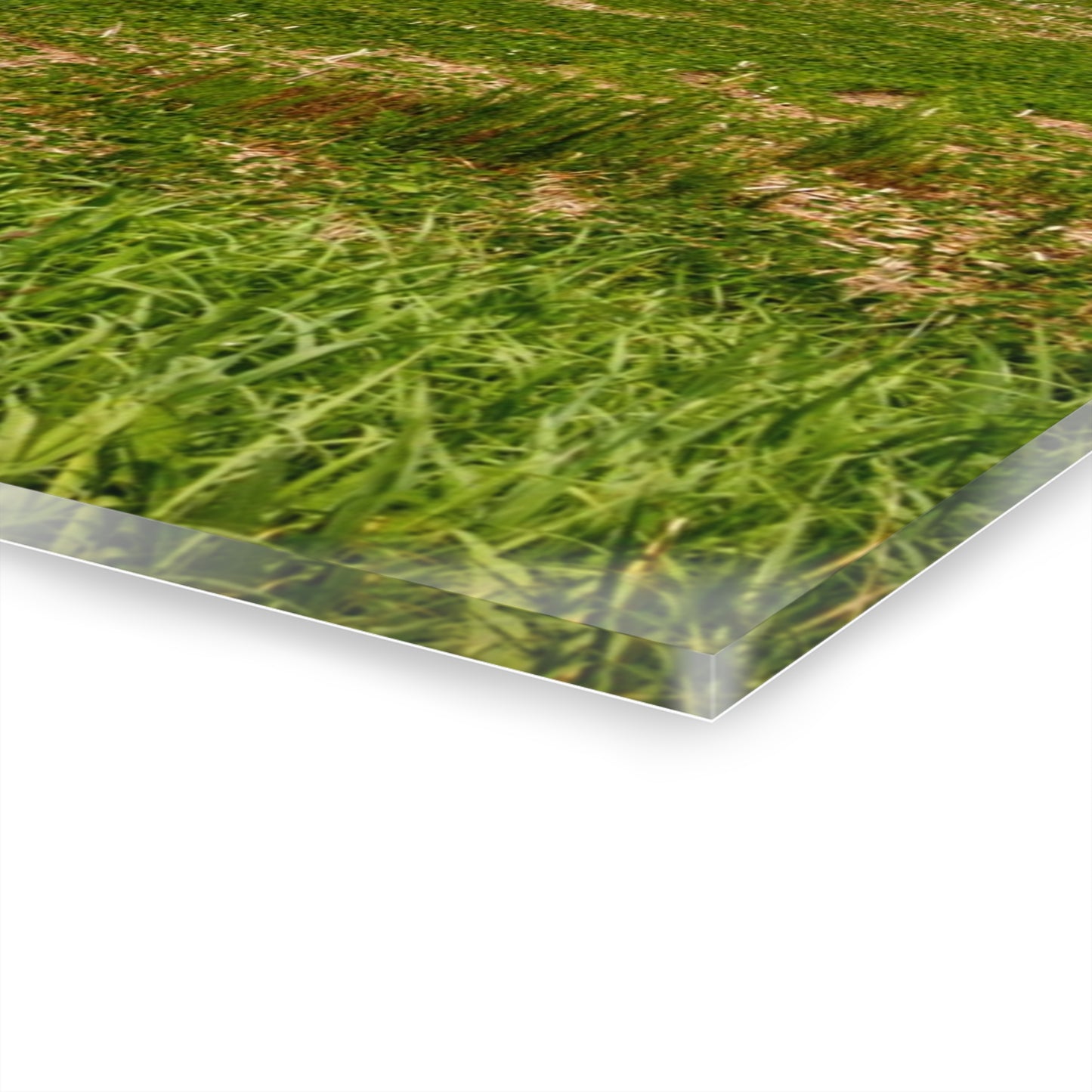 Rustic Farmhouse Wall Print Featuring Across the Field in Elba II