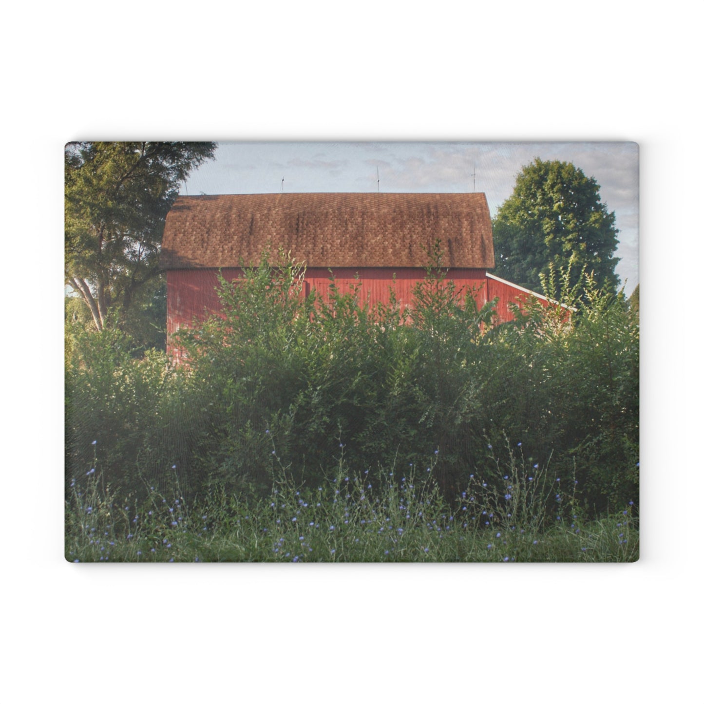 U R There Photography Genesee Road Red I Rustic Farmhouse Tempered-Glass Cutting Board