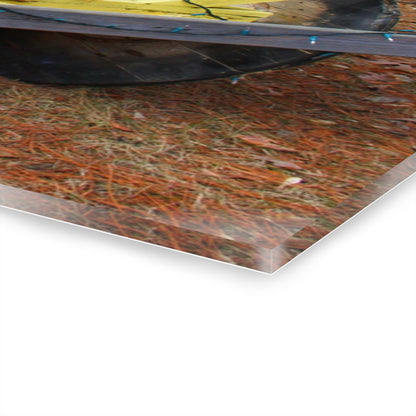 U R There Photography Hickory Place Yard Art II Rustic Farmhouse Acrylic Wall Print