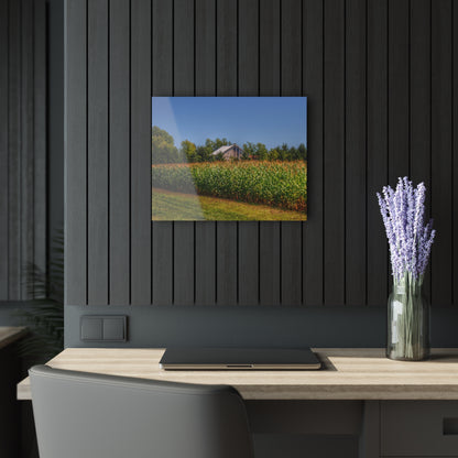 U R There Photography Beyond the Corn on Birch Road Run Rustic Farmhouse Acrylic Wall Print 14 "x 11