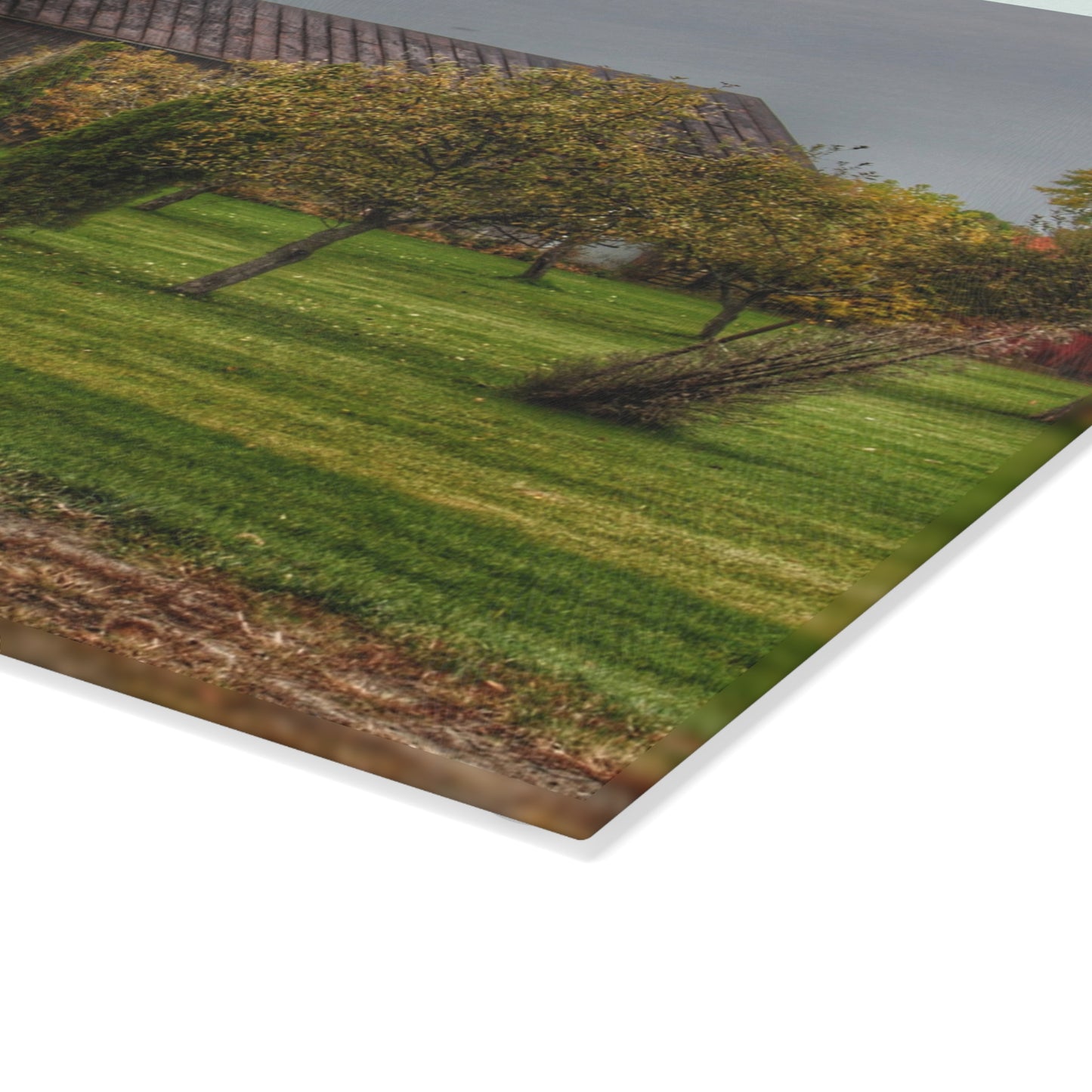 U R There Photography Goodrich Grey Rustic Farmhouse Tempered-Glass Cutting Board