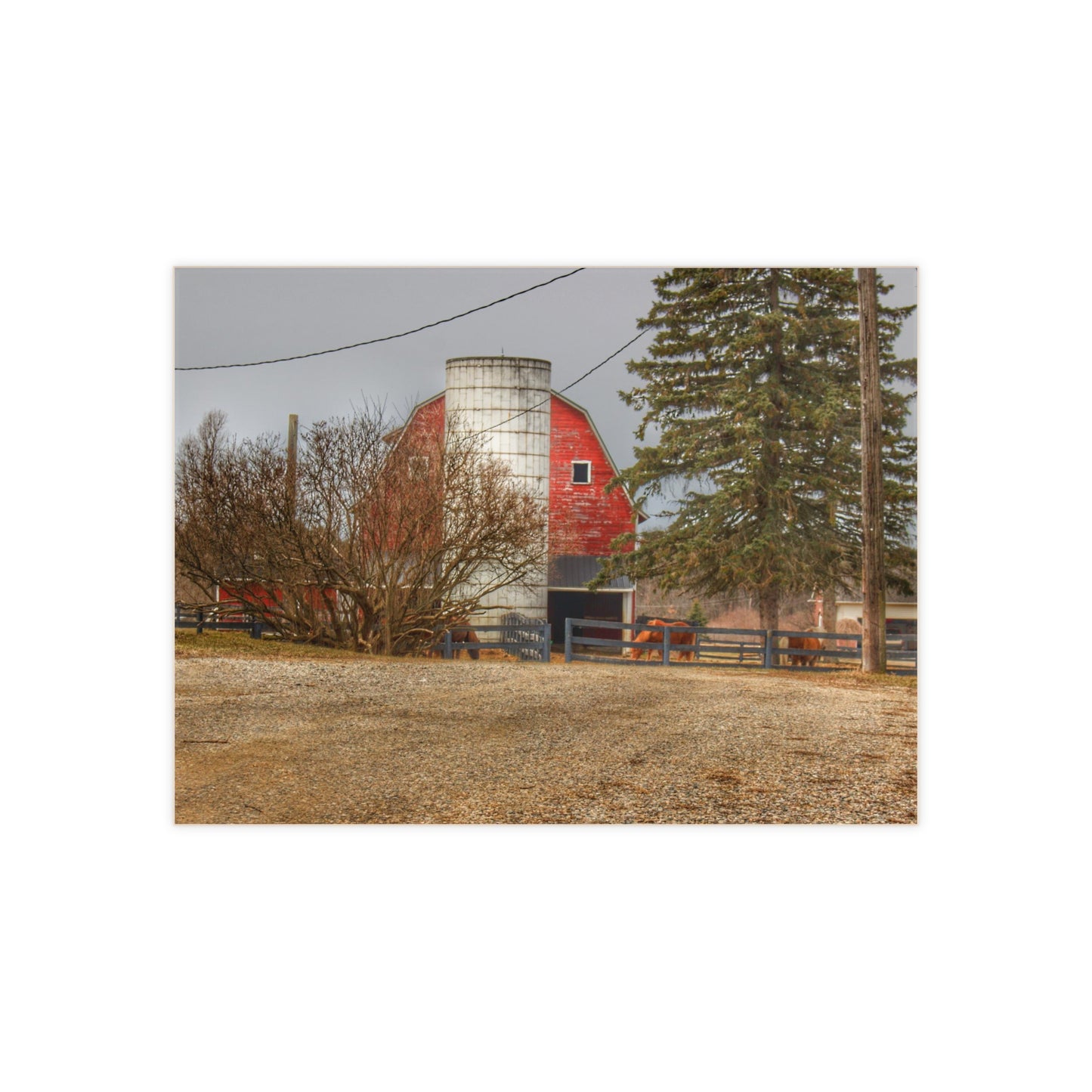 U R There Photography Blood Road Red and Horses Rustic Farmhouse Decorative Ceramic Tile