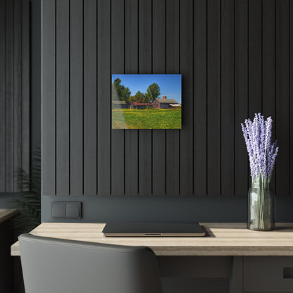 U R There Photography Birch Run Road Greys I Rustic Farmhouse Acrylic Wall Print