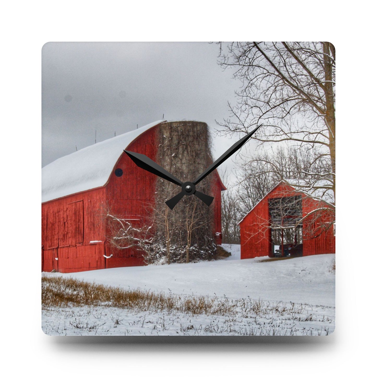 U R There Photography Catlin Reds in Winter I Rustic Farmhouse Acrylic Analog Wall Clock