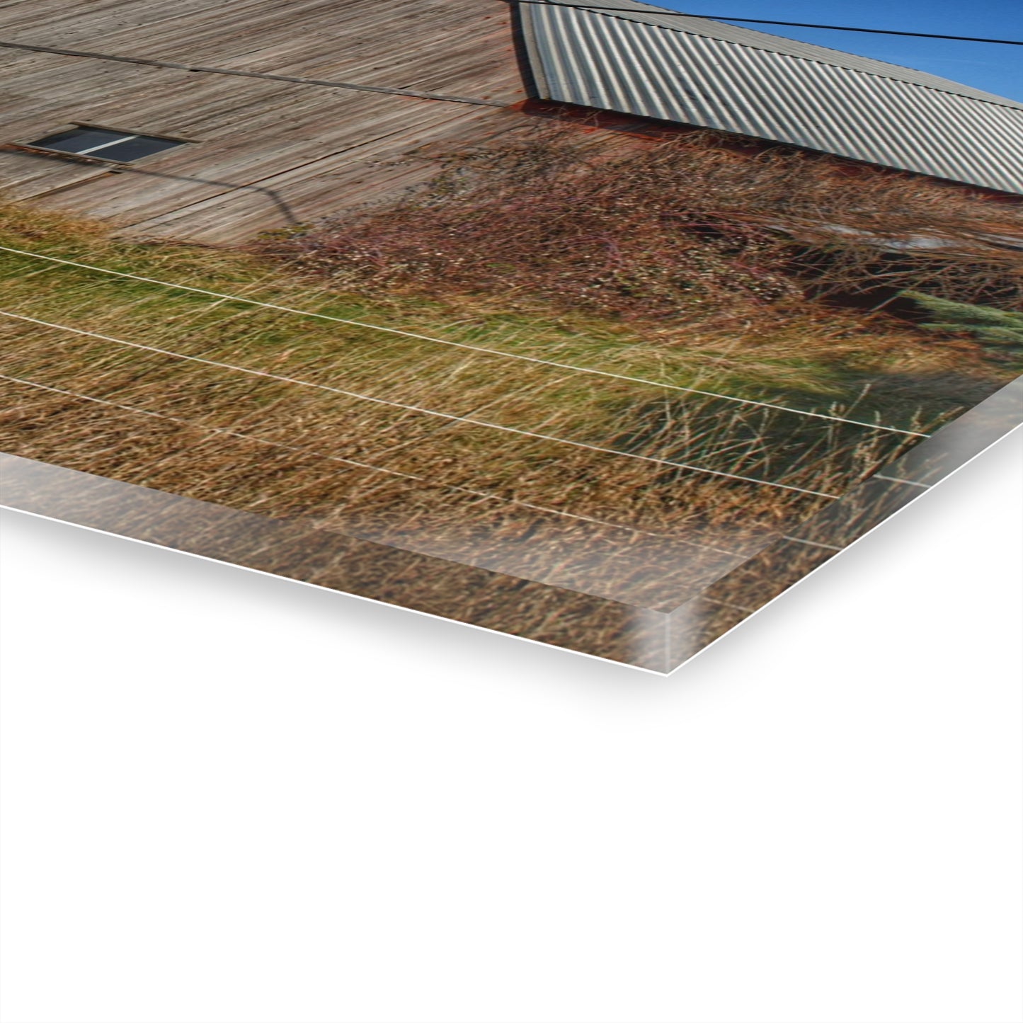 U R There Photography Dodge Road Grey I Rustic Farmhouse Acrylic Wall Print