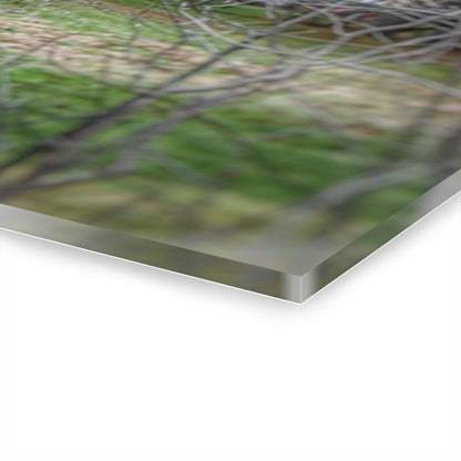 U R There Photography Hidden Capac Grey Rustic Farmhouse Acrylic Wall Print