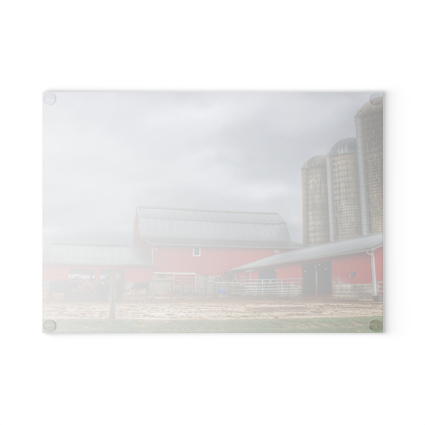 U R There Photography Daley Road Cow Barn Rustic Farmhouse Tempered-Glass Cutting Board