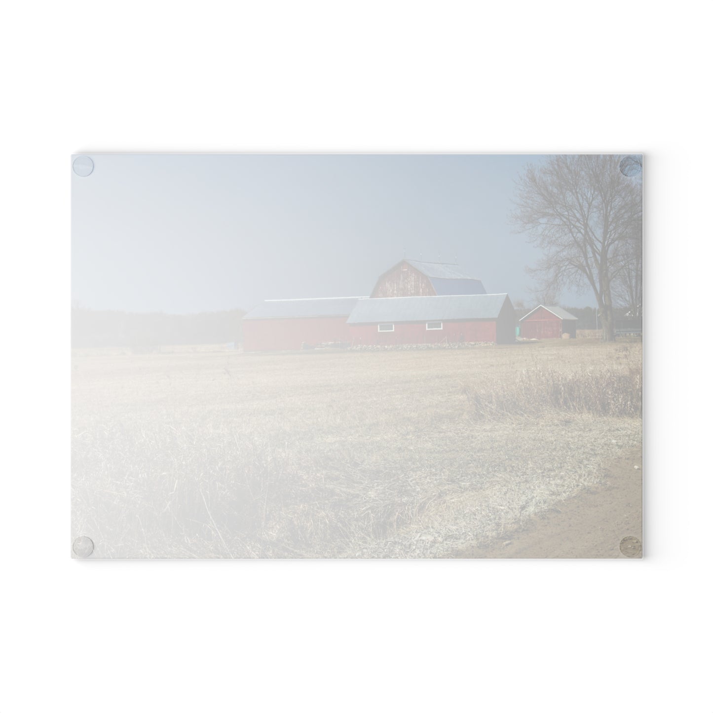 U R There Photography Romeo Plank Road Reds II Rustic Farmhouse Tempered-Glass Cutting Board
