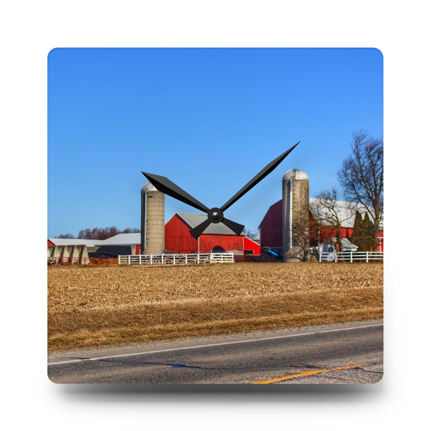 U R There Photography Marlette Reds Rustic Farmhouse Acrylic Analog Wall Clock