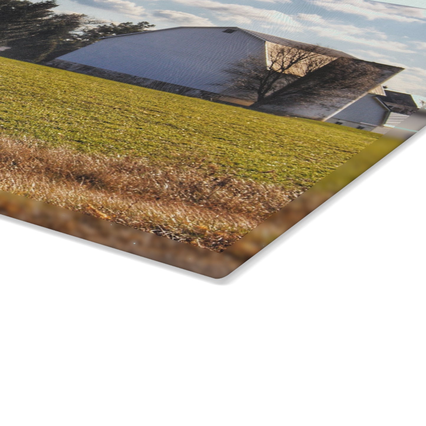 U R There Photography Sandusky White Rustic Farmhouse Tempered-Glass Cutting Board