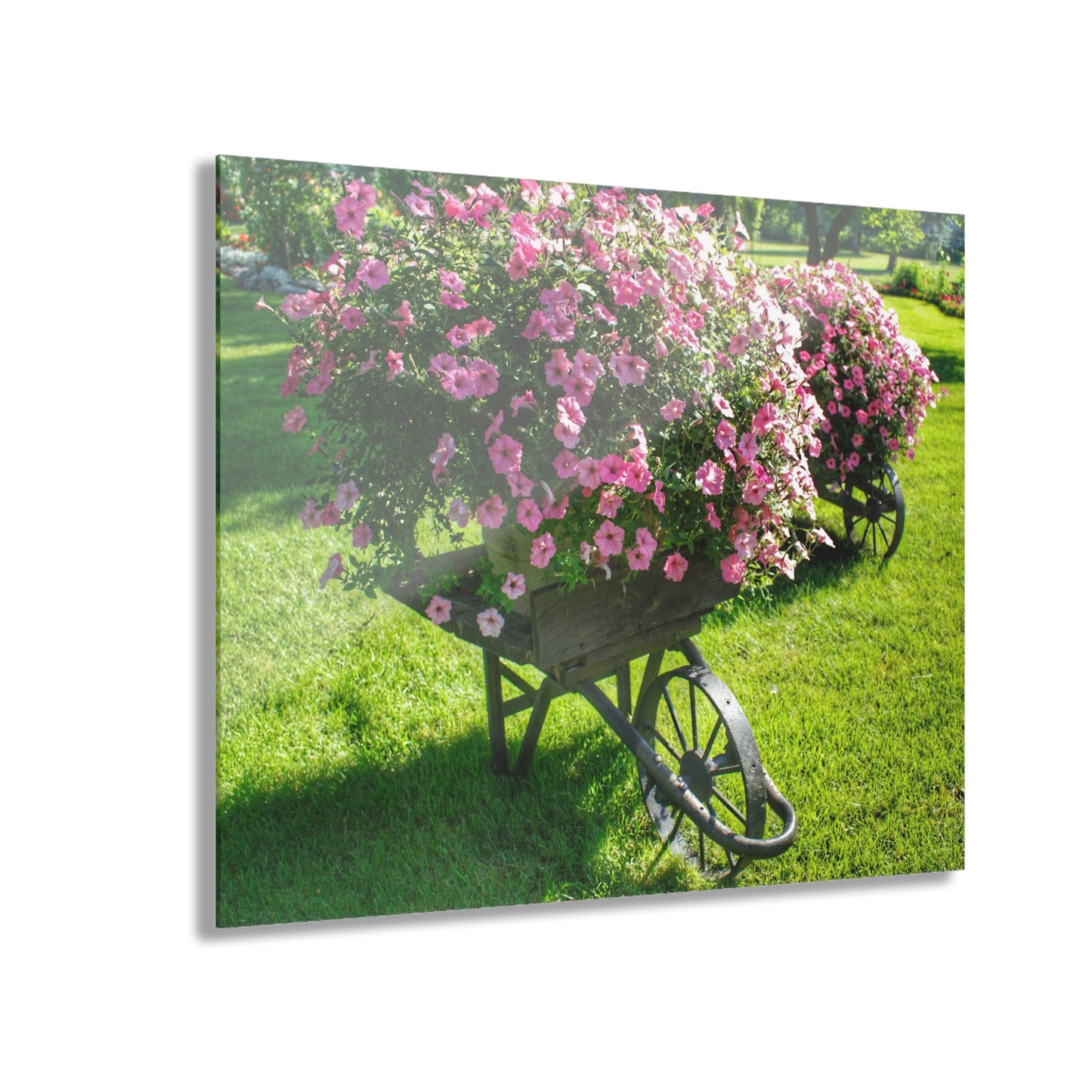 U R There Photography Wheelbarrow Full of Flowers Rustic Farmhouse Acrylic Wall Print