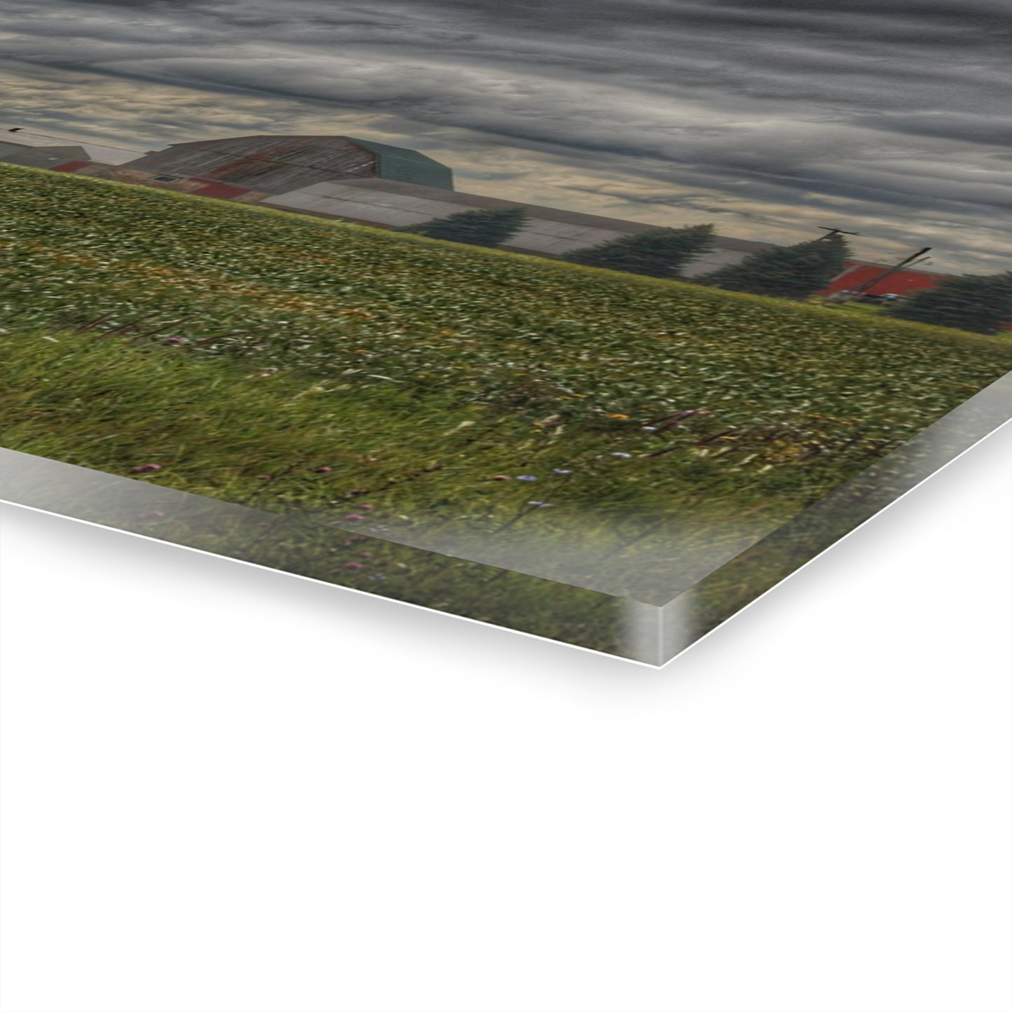 U R There Photography Early Fall on the Farm Rustic Farmhouse Acrylic Wall Print