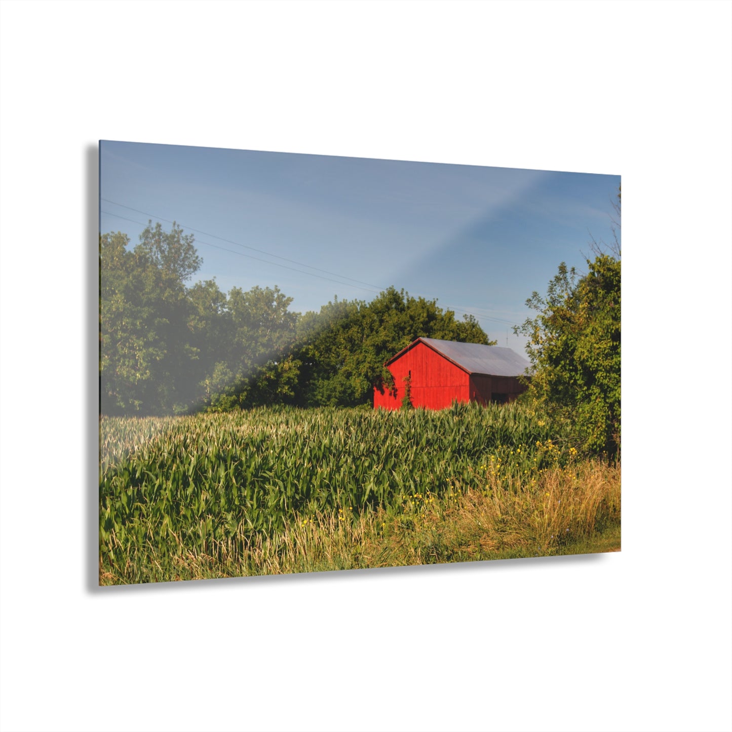 U R There Photography Willard Road Red II Rustic Farmhouse Acrylic Wall Print
