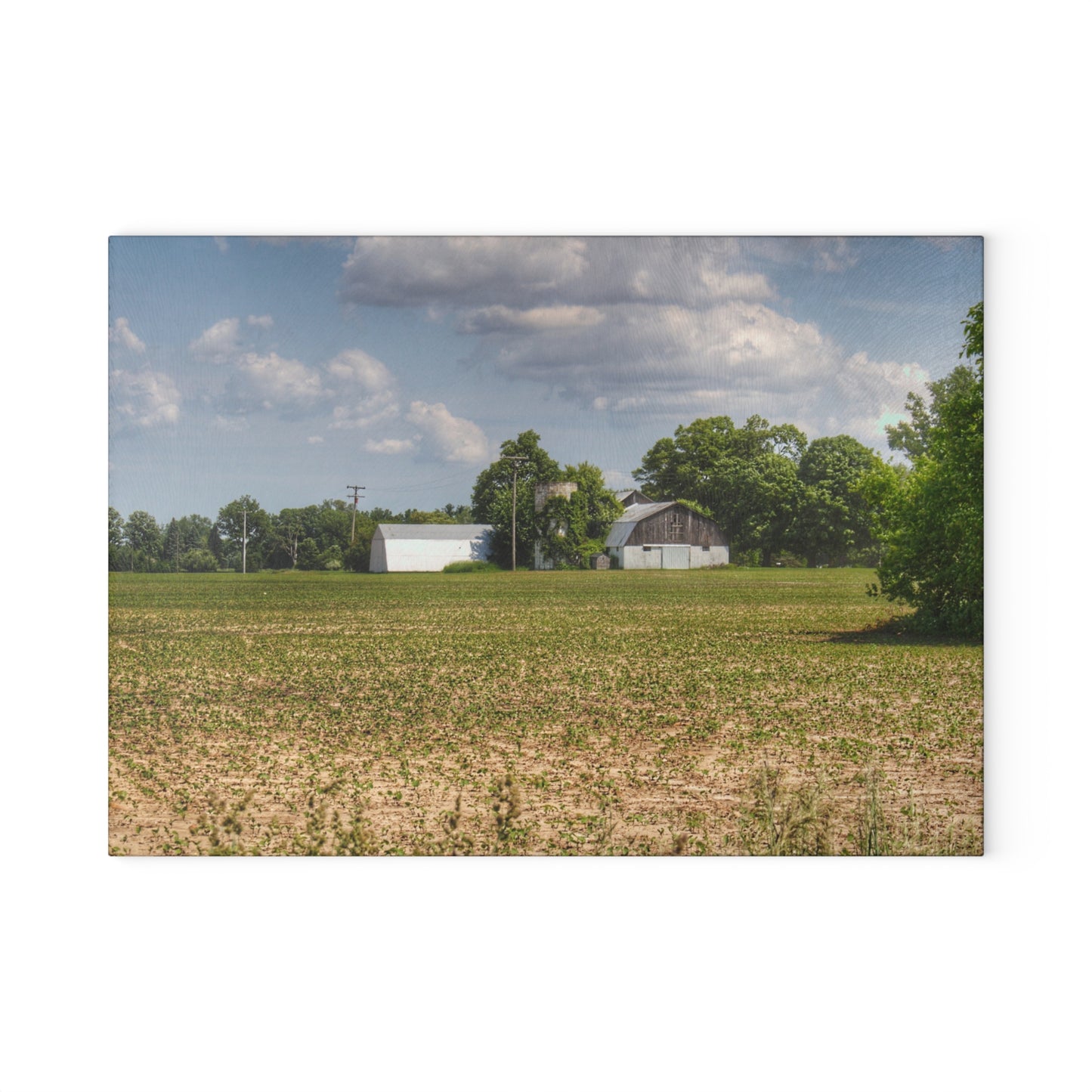 U R There Photography Willard Road White Rustic Farmhouse Tempered-Glass Cutting Board