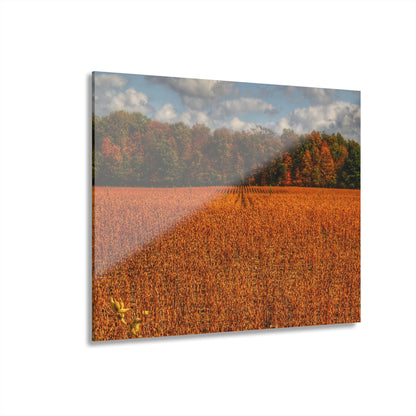 U R There Photography Fall on Murphy Lake I Rustic Farmhouse Acrylic Wall Print