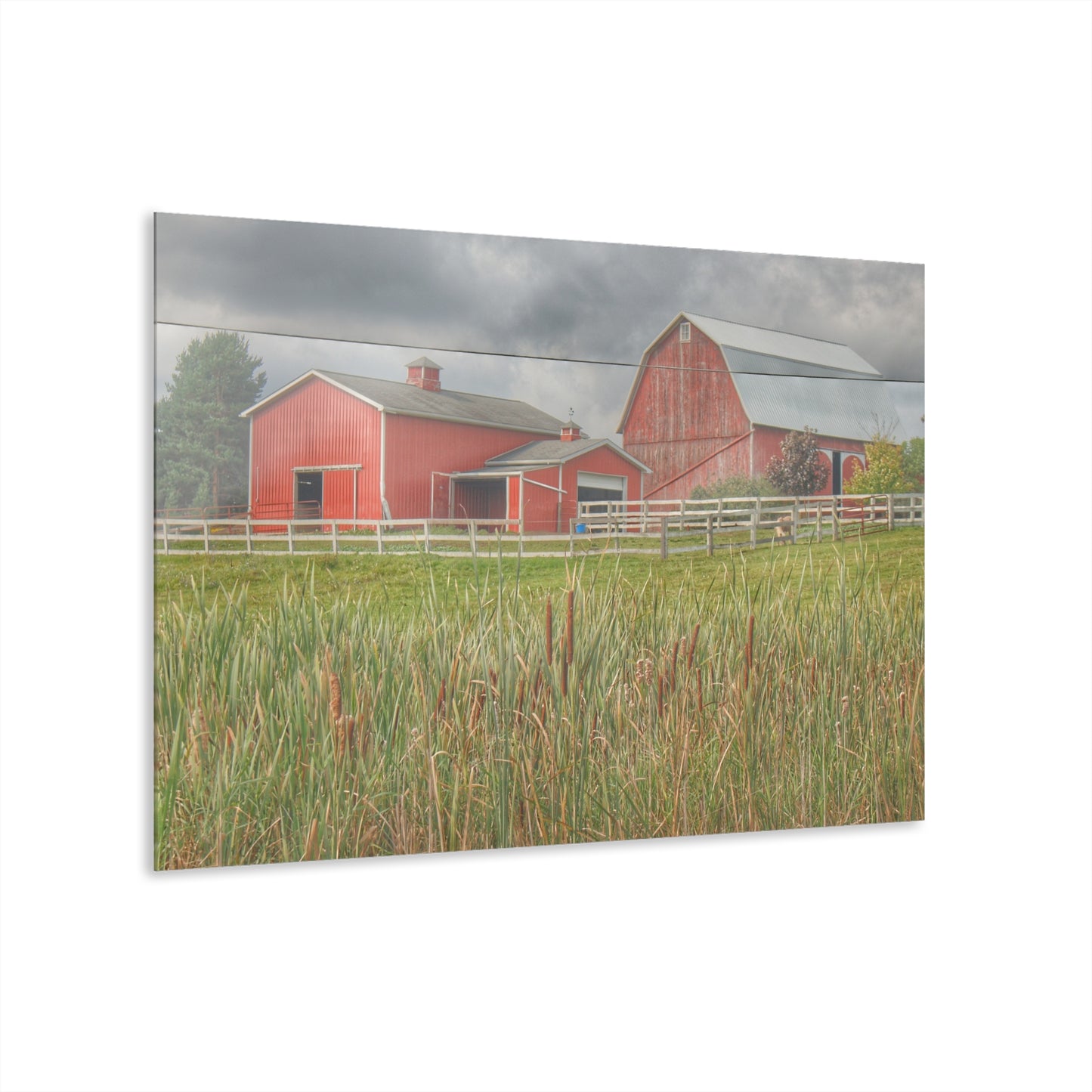 U R There Photography Greenwood Reds Rustic Farmhouse Acrylic Wall Print