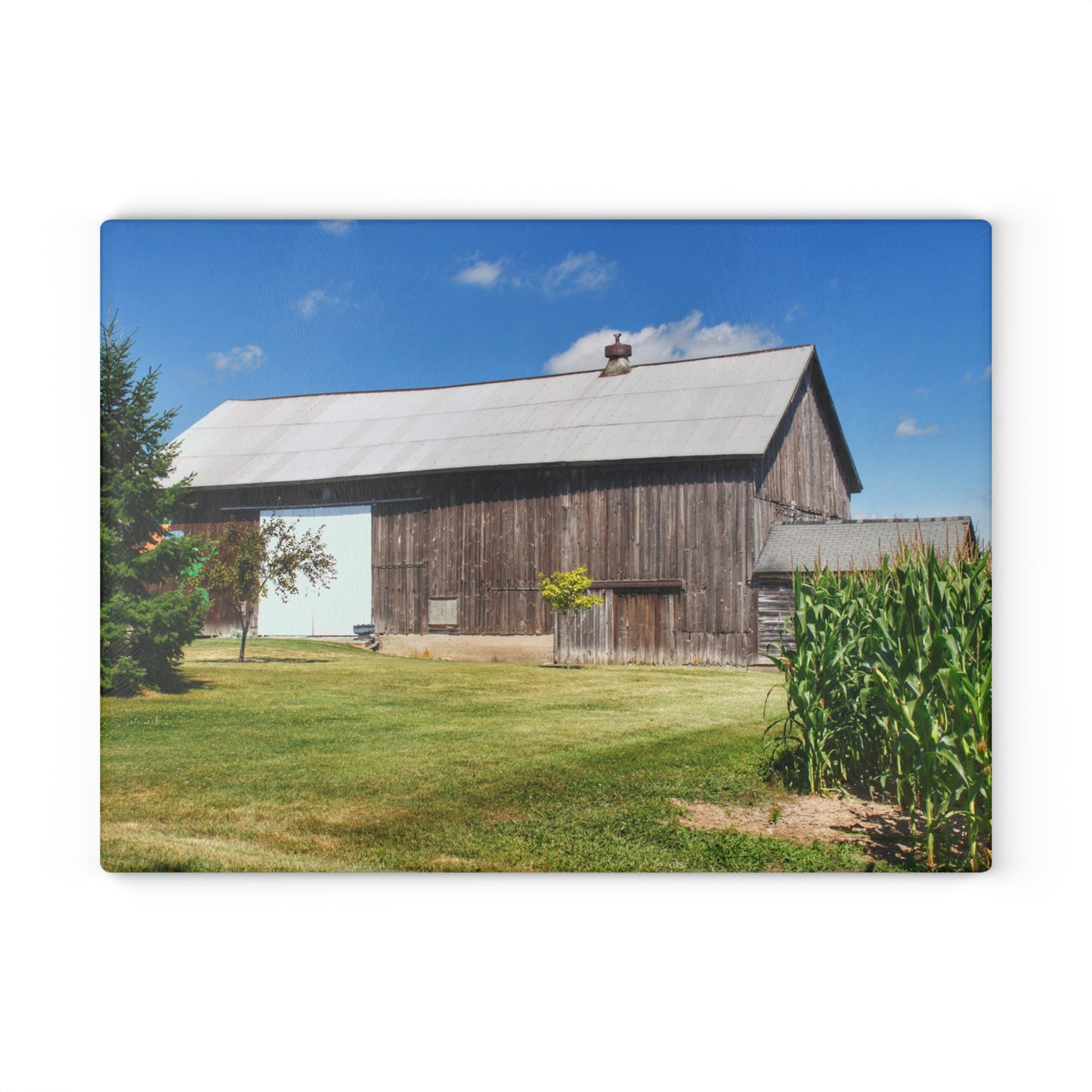 U R There Photography Frog Barn Rustic Farmhouse Tempered-Glass Cutting Board