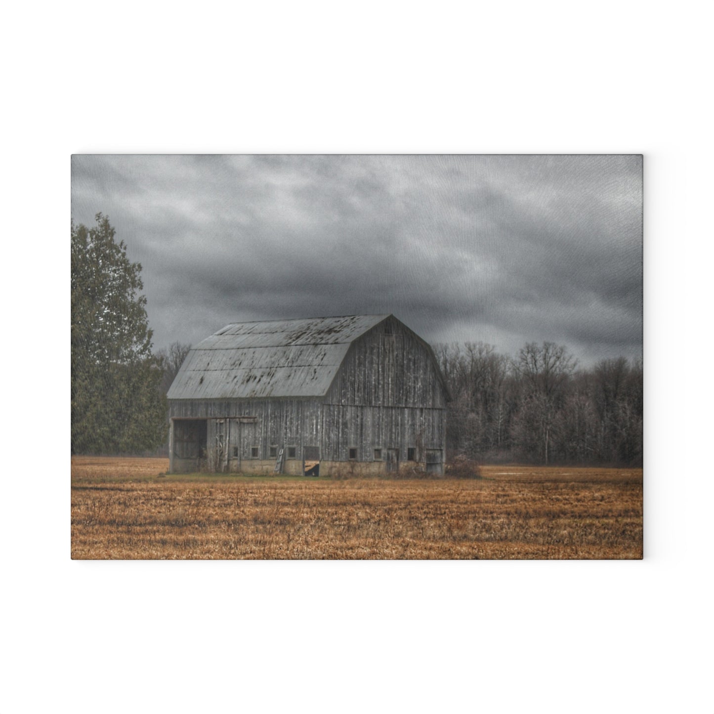 U R There Photography Grey Barn and Tree Rustic Farmhouse Tempered-Glass Cutting Board