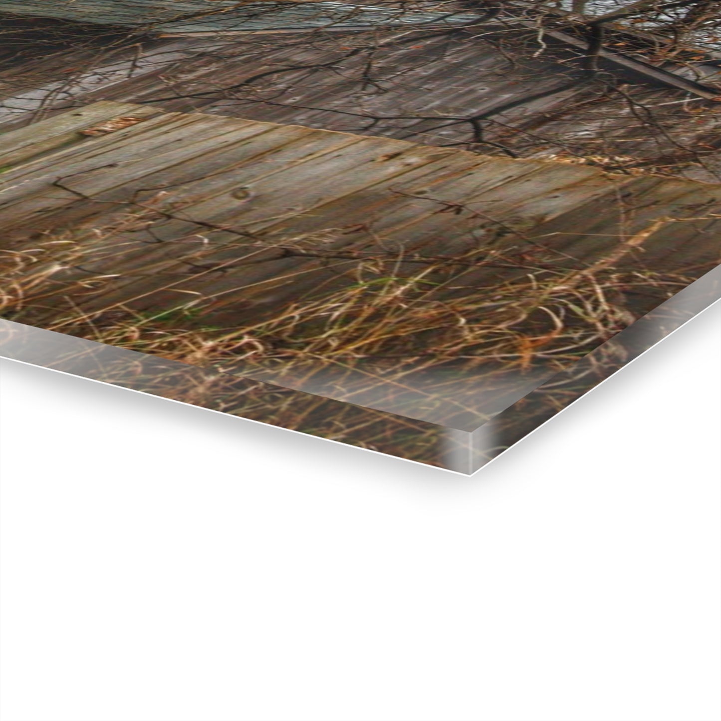 U R There Photography Bowers Road Greys III Rustic Farmhouse Acrylic Wall Print