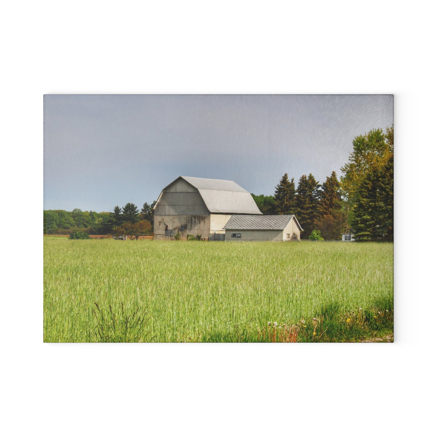 U R There Photography North Graf Road White Rustic Farmhouse Tempered-Glass Cutting Board