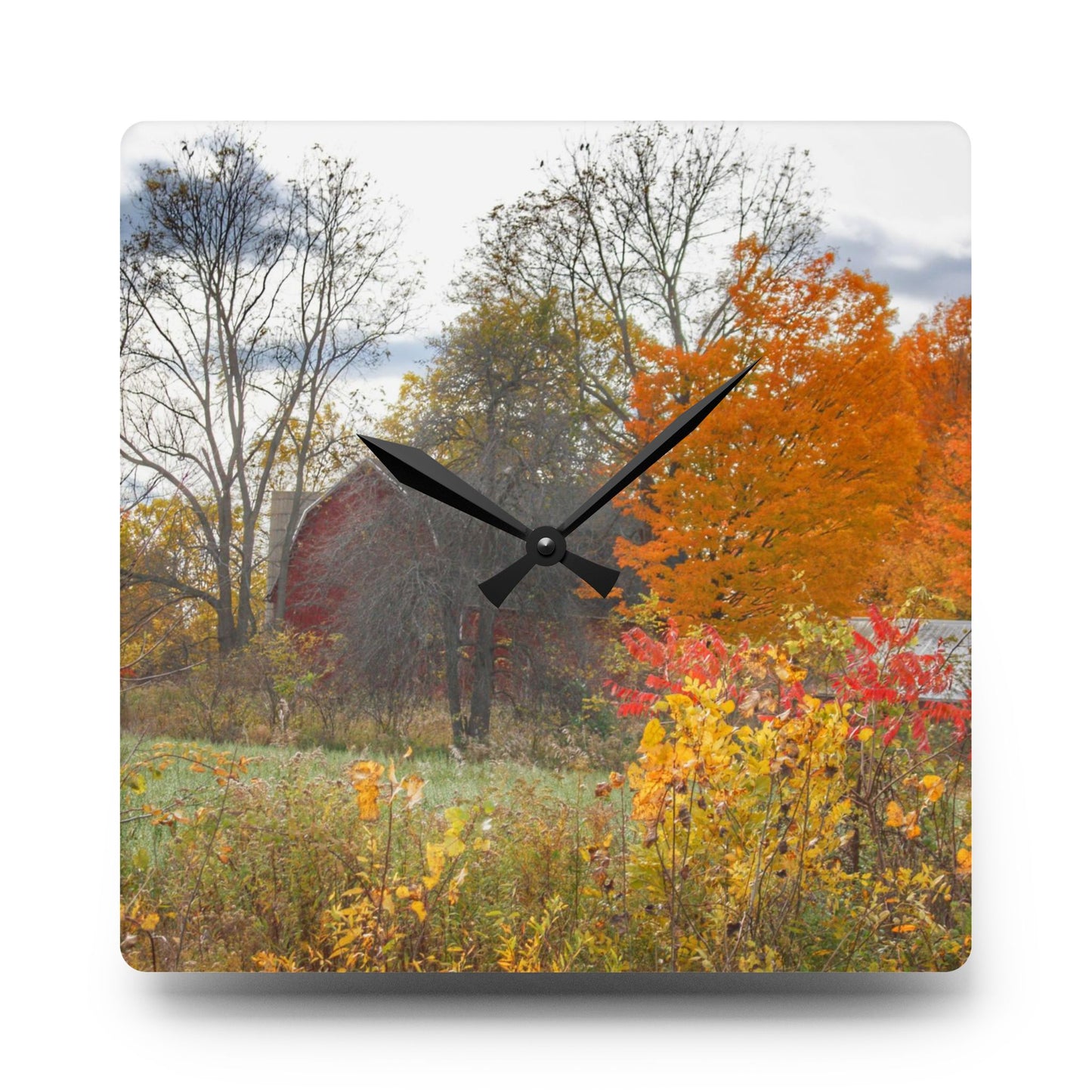 U R There Photography Bowers Hidden Red Rustic Farmhouse Acrylic Analog Wall Clock