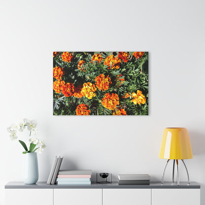 U R There Photography Marigolds Rustic Farmhouse Acrylic Wall Print