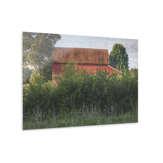 U R There Photography Genesee Road Red I Rustic Farmhouse Acrylic Wall Print